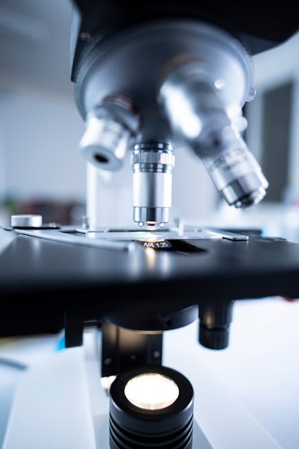 Die Zukunft der Innovation: IT-Innovation Labs
